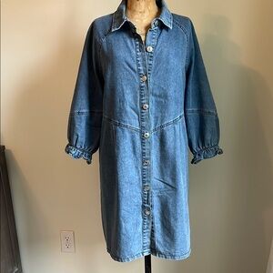 Denim Button-Up Dress